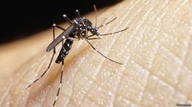 Florida amplía zonas en emergencia sanitaria por virus zika