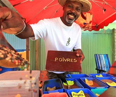 Lanzan aplicación móvil para la Semana Caribeña en Nueva York