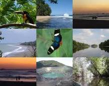 Costa Rica: Lectores del New York Times recomiendan visitas a esta nación por ser “amigable con el ambiente”