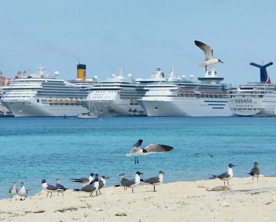 Cuota del Caribe en mercado mundial de cruceros mantuvo crecimiento en últimos cinco años