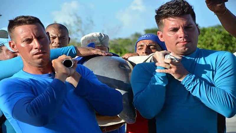 Retornan a Cayo Guillermo delfines evacuados por huracán Irma