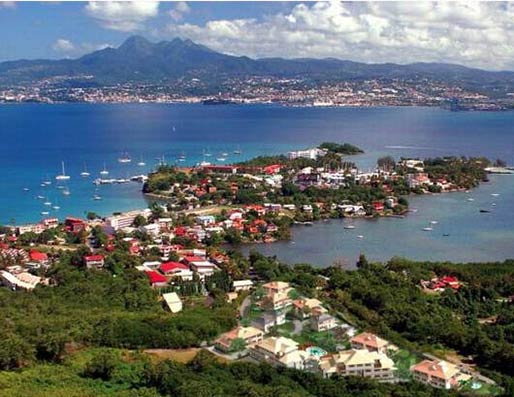 Martinica y la CTO ultiman detalles para la Conferencia sobre el Estado de la Industria