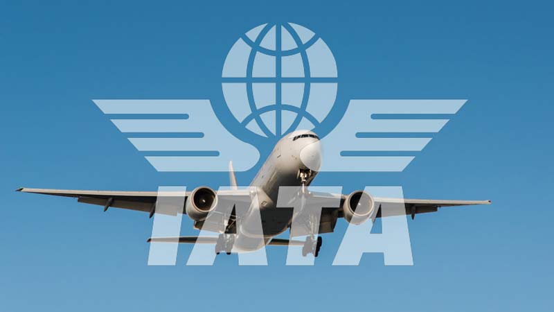 IATA pide aumentar inversiones en sector aéreo a Argentina   