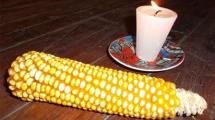  Los altares del maíz