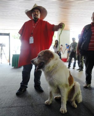 Una Fundación para rescatar el perro nacional de Venezuela