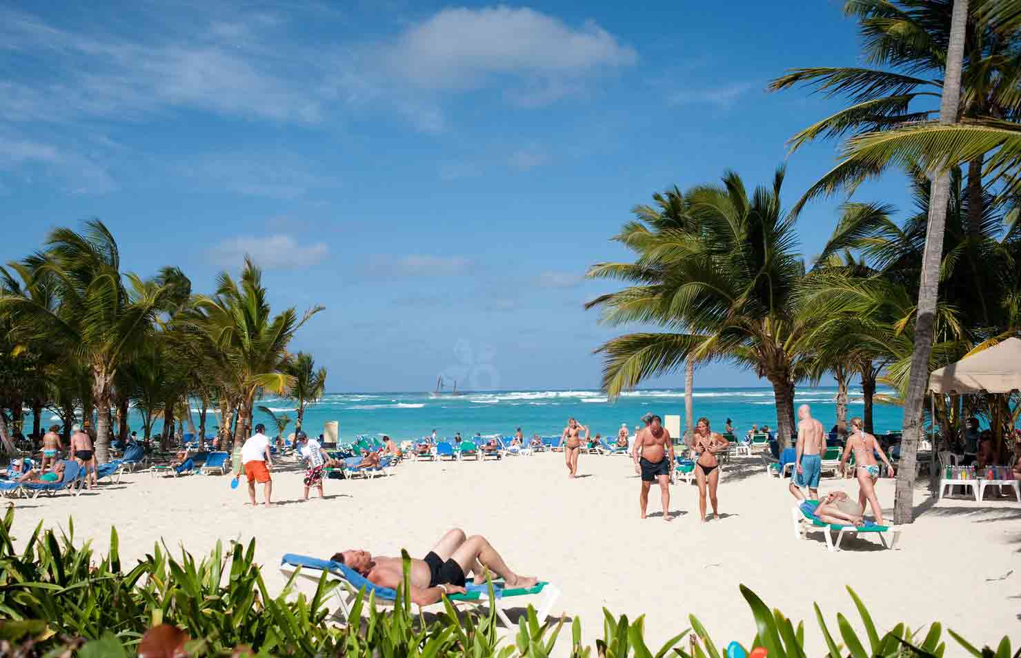 República Dominicana líder en demanda turística del Caribe 