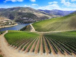 La región del Duero portugués, donde el vino se hace paisaje