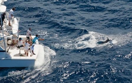 De pescadores, peces y turismo: 65 Torneo Internacional de Pesca de la Aguja Ernest Hemingway