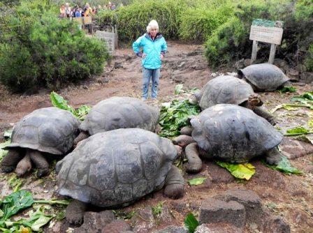 Preocupado Ecuador por restauración ecológica en Islas Galápagos