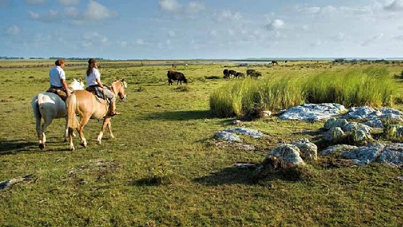 Promoción de turismo de naturaleza y confort prioridades en Uruguay