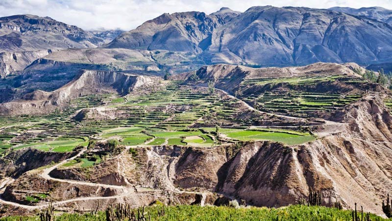 Suspenden ingreso turistas al peruano Valle del Colca por protestas sociales