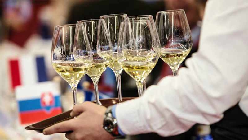 Guanajuato deviene como capital mundial del vino