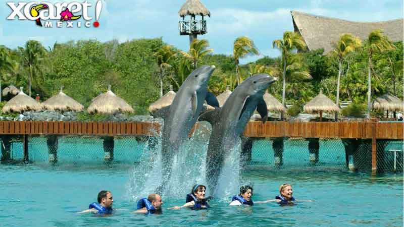 El Xcaret de Cancún se reafirma como el mejor parque acuático del mundo