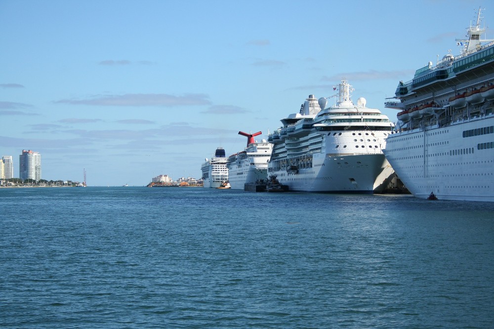 hilera de cruceros en el Puerto de Miami