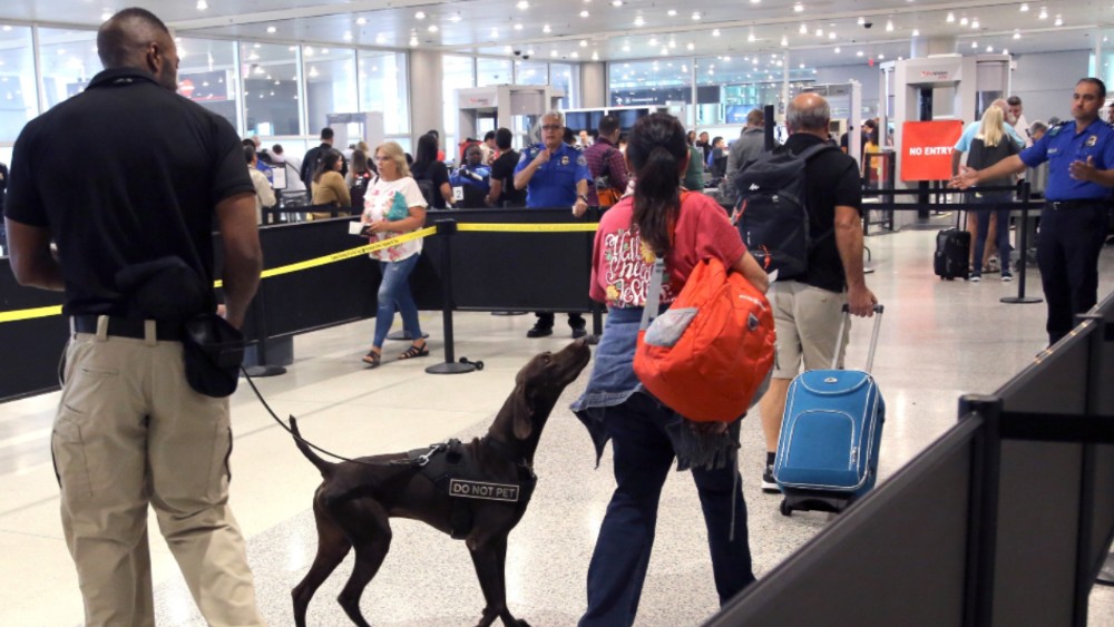 perros, aeropuerto de Miami
