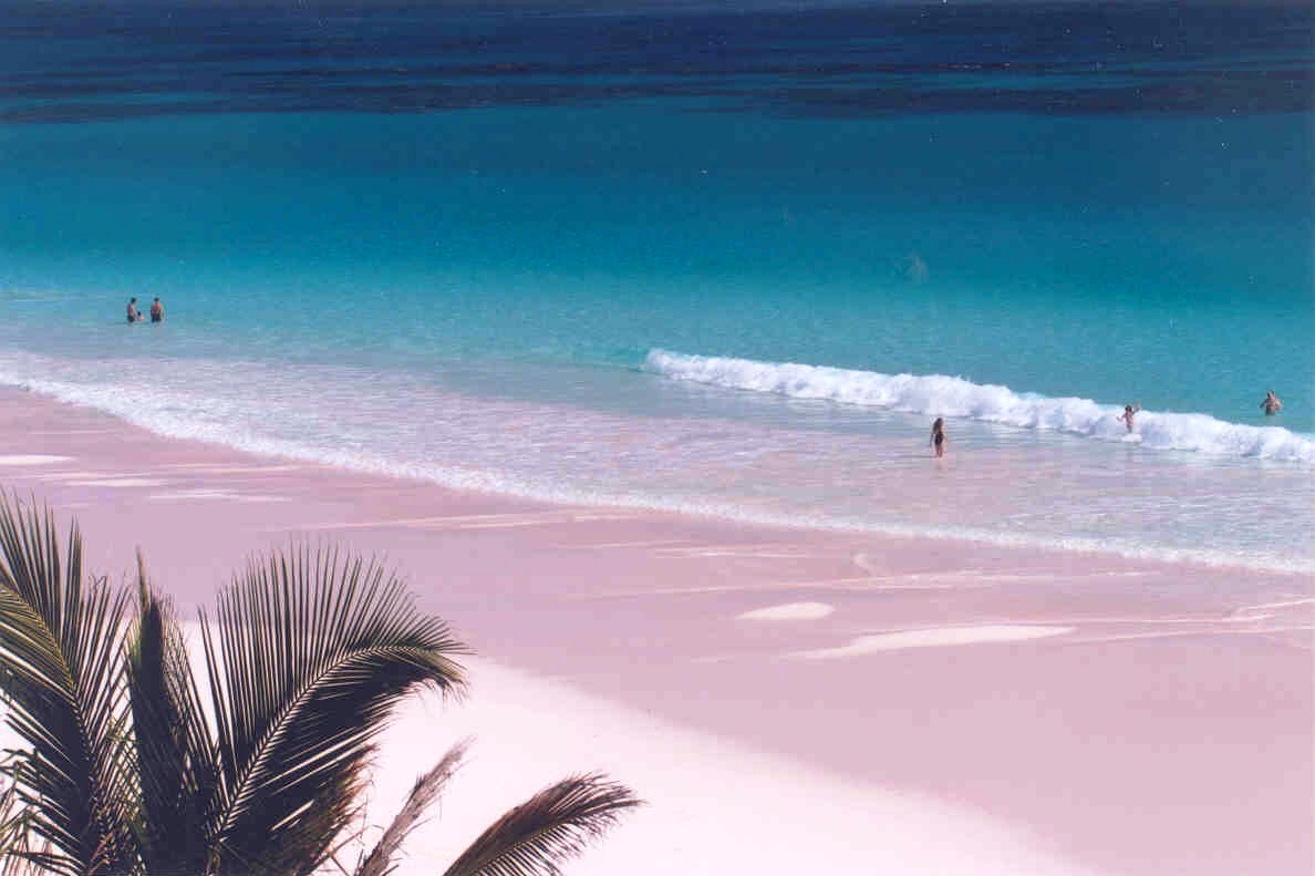 Pink Beach en Harbour, Bahamas