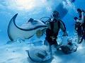 España: Ofertas de 100 centros de buceo en nuevo portal sobre submarinismo