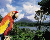 Costa Rica espera impulsar el turismo europeo con su presencia en FITUR