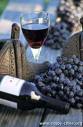 España: Renuevan convenio de cooperación entre instituciones que impulsan las "Rutas del Vino"