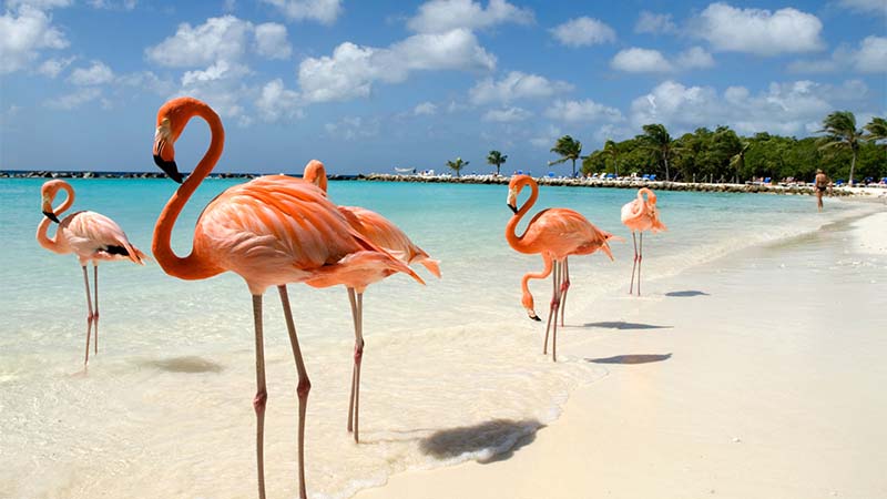 Aruba quiere ser una novia que enamore a los turistas