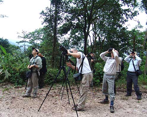 Birding Rally Challenge comienza la próxima semana en Perú