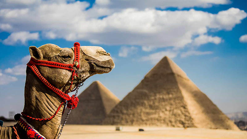 Egipto recibe más turismo