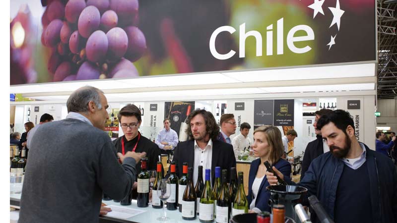 Chile presentará lo mejor de sus viñas en Feria del Vino de Dusseldorf