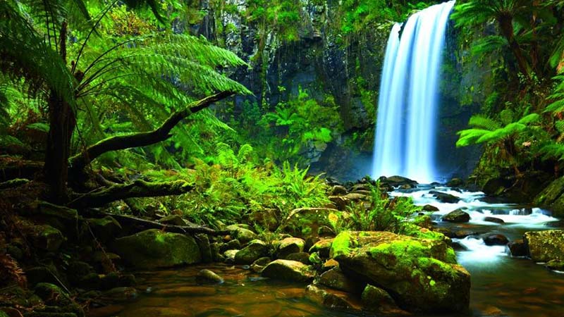 Costa Rica analiza turismo sostenible