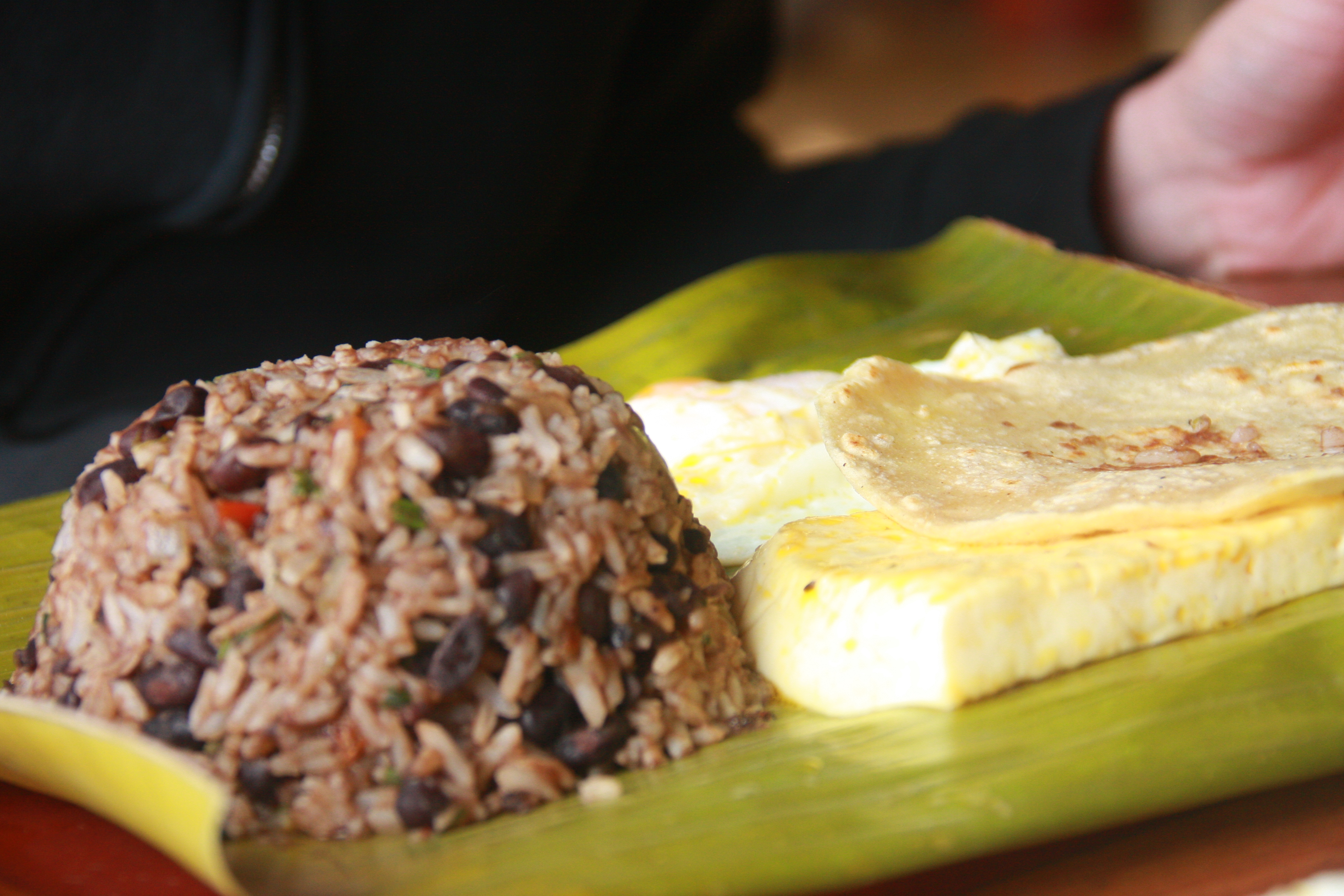 Costa Rica diserta sobre turismo gastronómico como modo de atraer visitantes