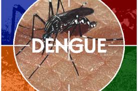 Dengue: habrá un nuevo monitoreo de mosquitos en la ciudad de Córdoba