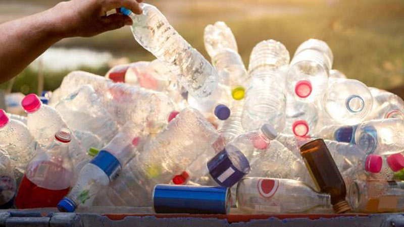 Día Mundial del Medio Ambiente: contra la contaminación por plásticos