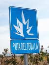 México promueve su Ruta del Tequila entre touroperadores colombianos