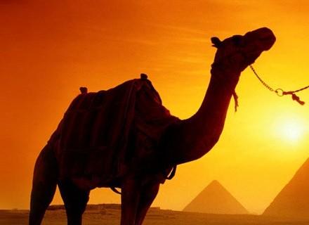 Nuevas estrategias de desarrollo turístico en la región de Oriente Medio y el Norte de África