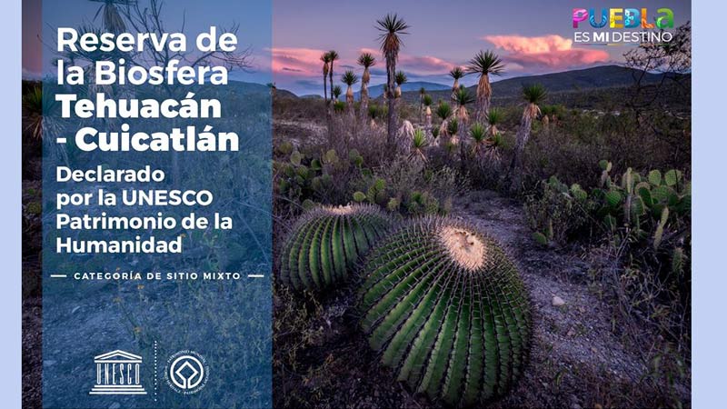 Declara la UNESCO a la Biósfera de Tehuacán-Cuicatlán Patrimonio de la Humanidad