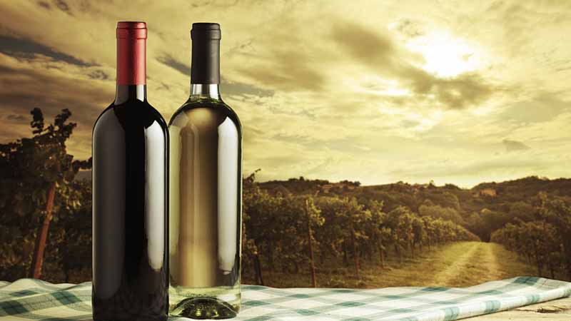 Descubre los vinos frizantes italianos