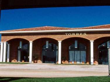 Bodegas Torres lidera ranking de las marcas de vino más admiradas en el mundo