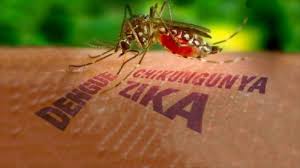 Enfermedad febril por virus Zika