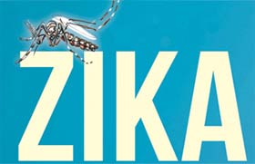Enfermedad por el virus de Zika