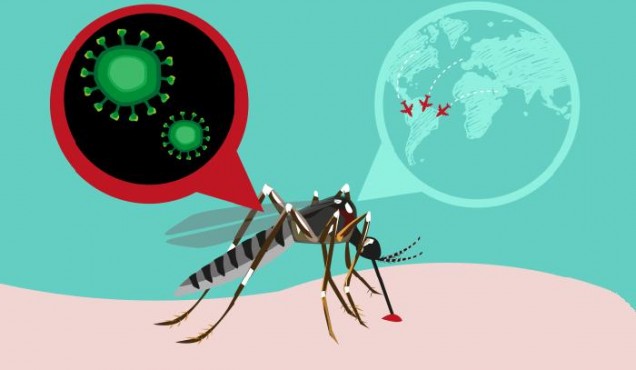 Diagnostican primer caso de transmisión autóctona de virus de zika en cuba